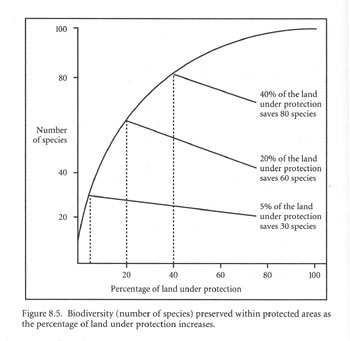 Graph of species versus preserved land